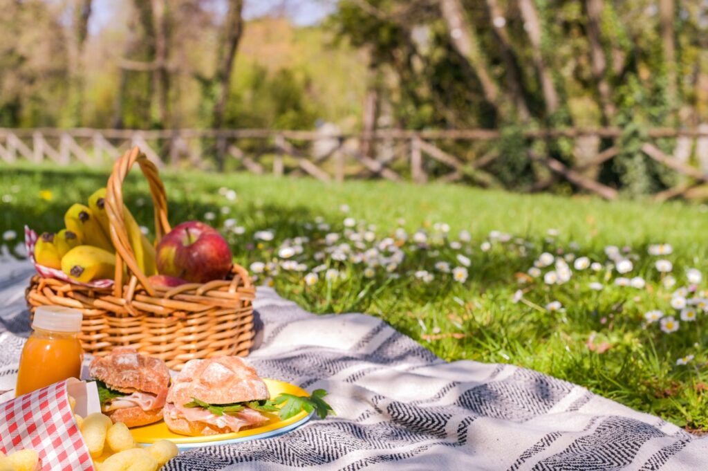 picknick in de wijngaard